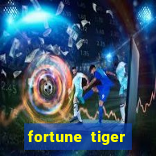 fortune tiger cassino pix